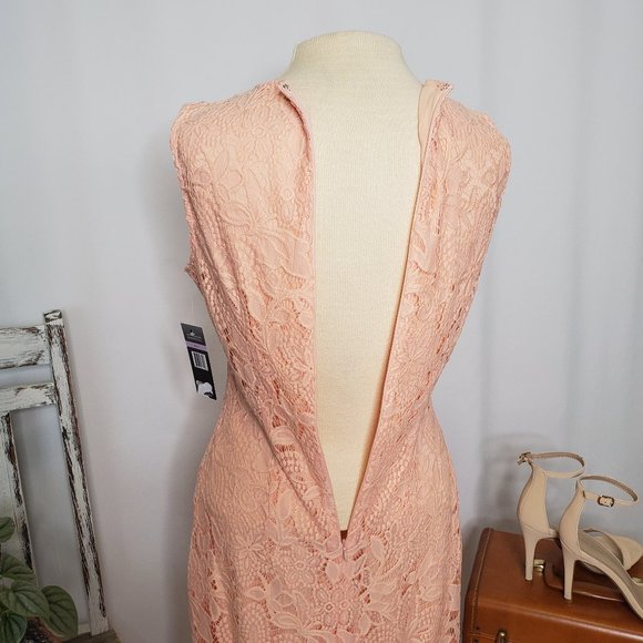 Peach Pink Sharagano Lace Midi Dress - Sz 6 (NWT) - Picture 13 of 15